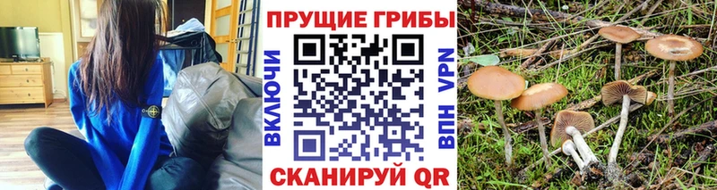 Галлюциногенные грибы Cubensis Белгород