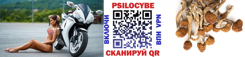 Псилоцибиновые грибы Magic Shrooms  блэк спрут рабочий сайт  Белгород  дарнет шоп 